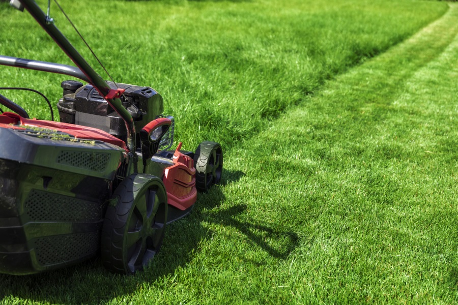 lawn care somerset pa